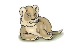 Academy Of Accelerated Learning In